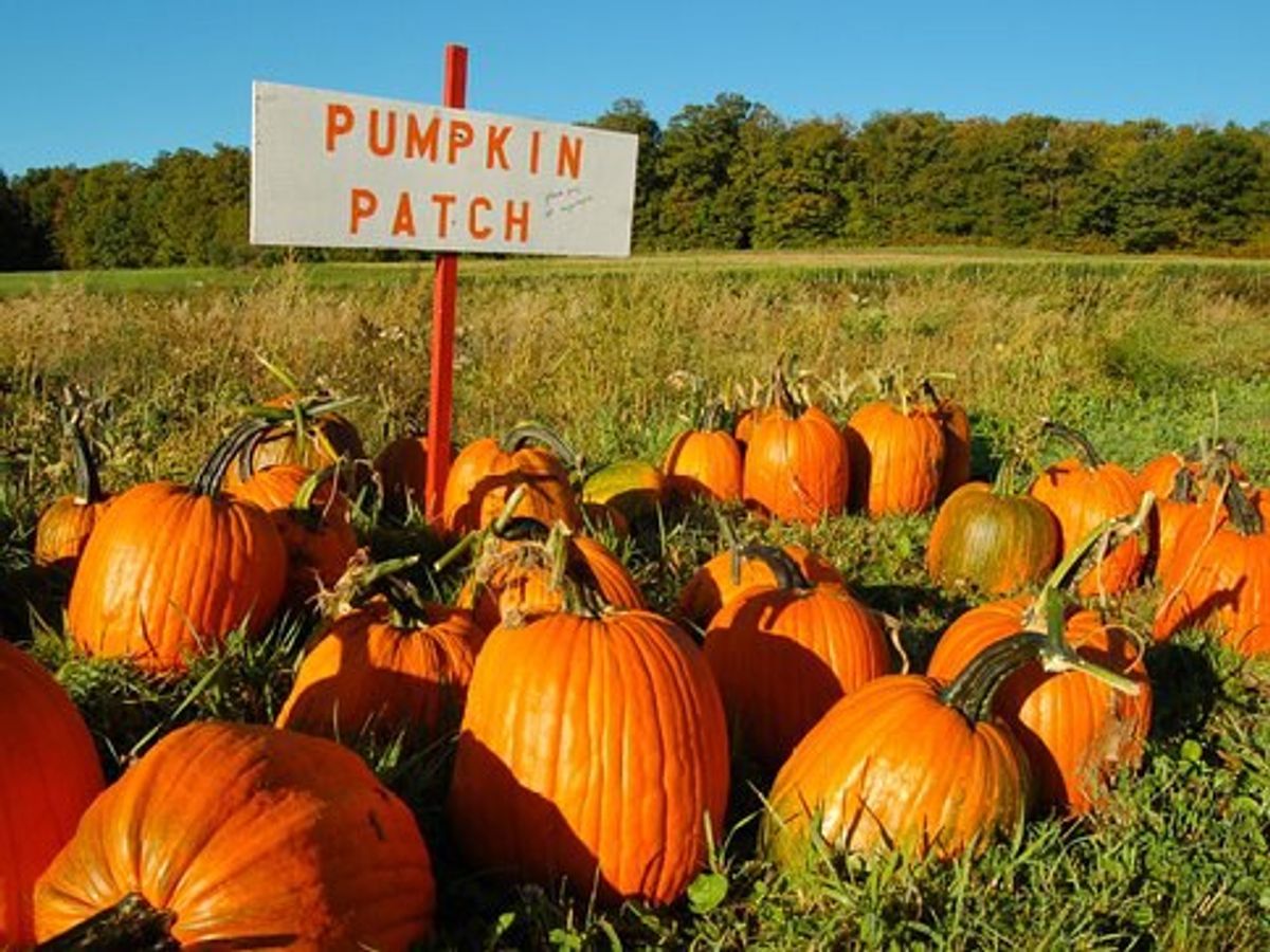 Things to Put on Your Fall Bucket List This Year in Southwest Virginia