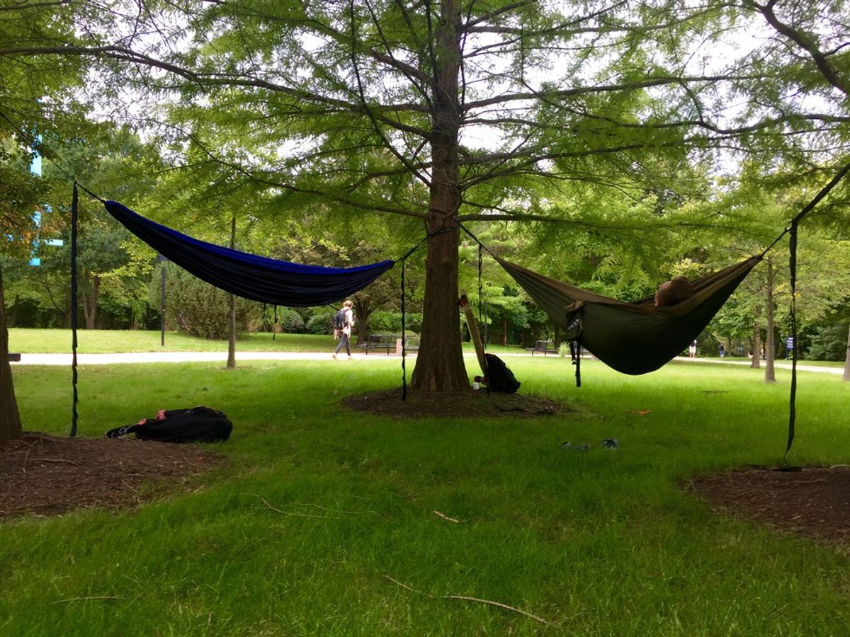 6 Reasons You Need A Hammock Right Now