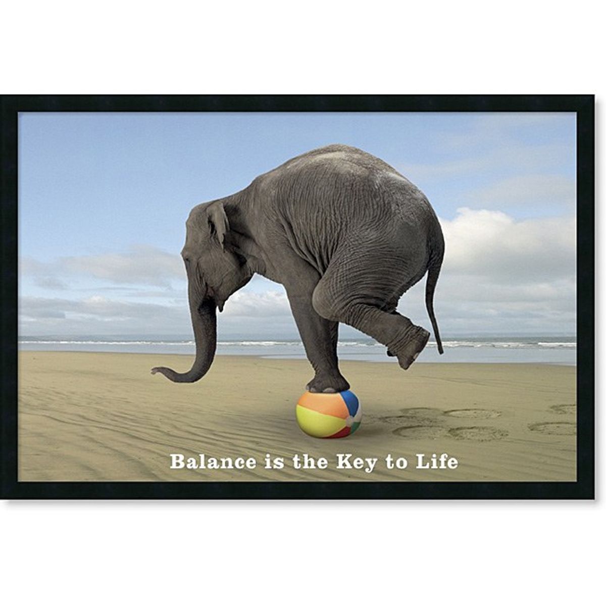 Finding A Balance In College