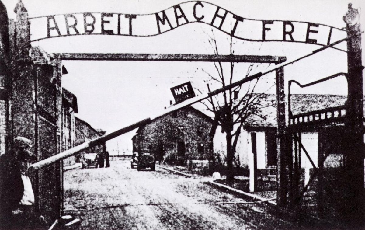 Why Everyone Should Study The Holocaust