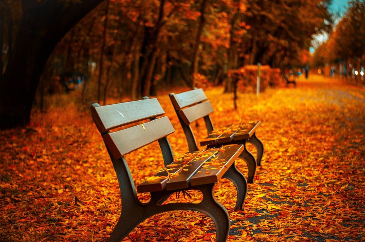 12 Reasons Why Fall Is The Best Season