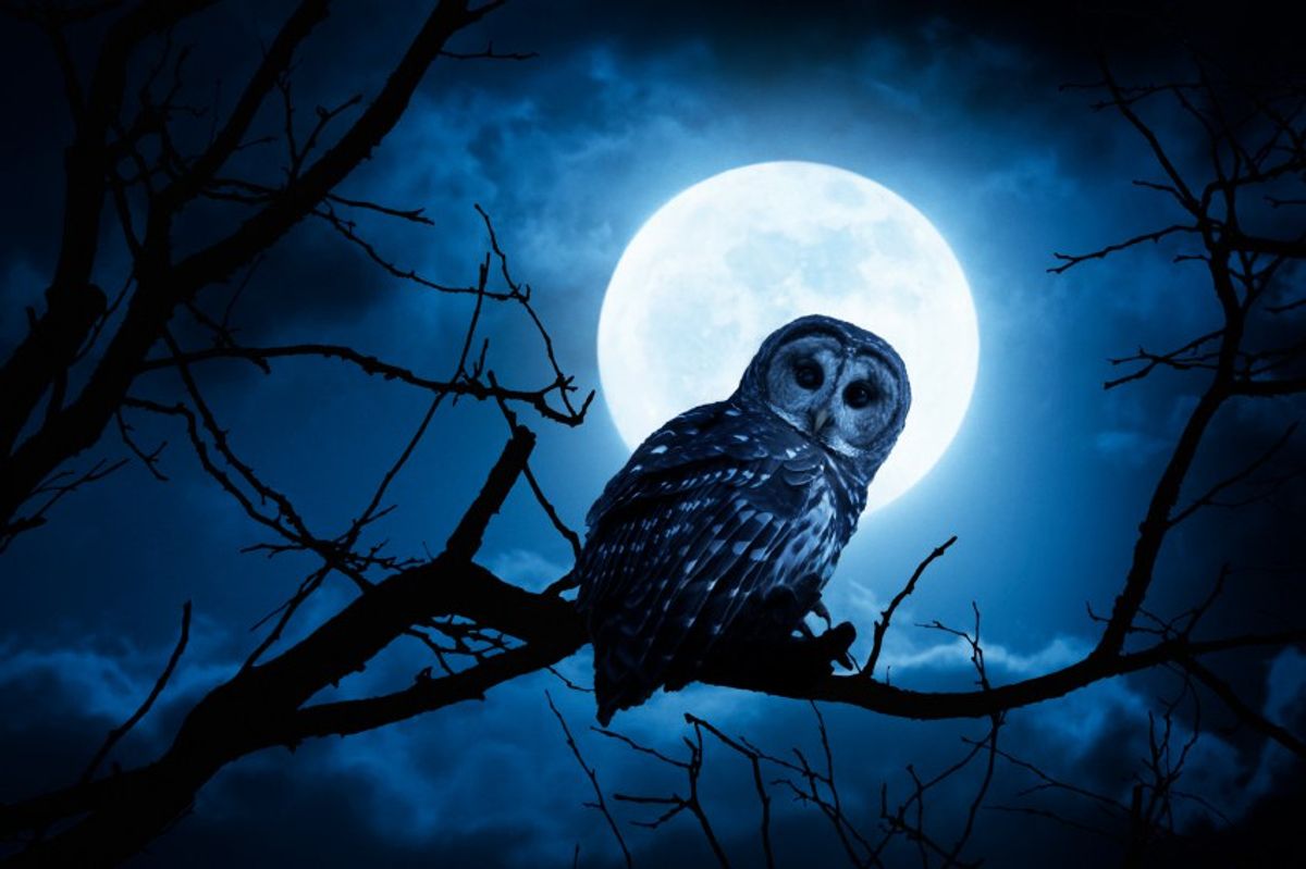 True Tales of A Night Owl
