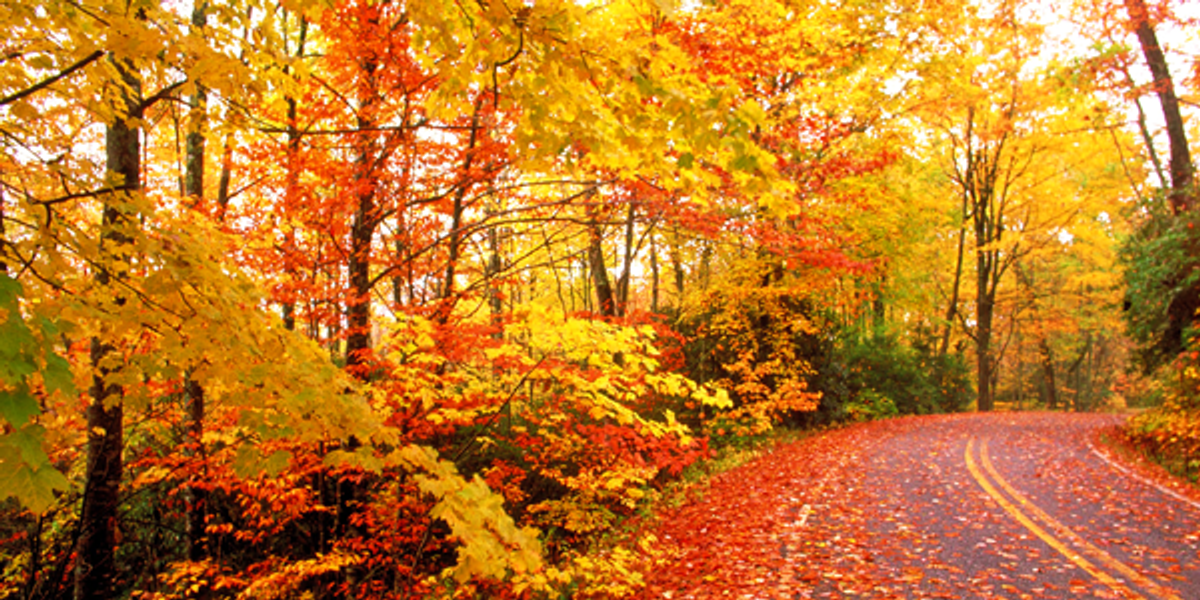 10 Times Michigan's Fall Scenery Captured Your Heart