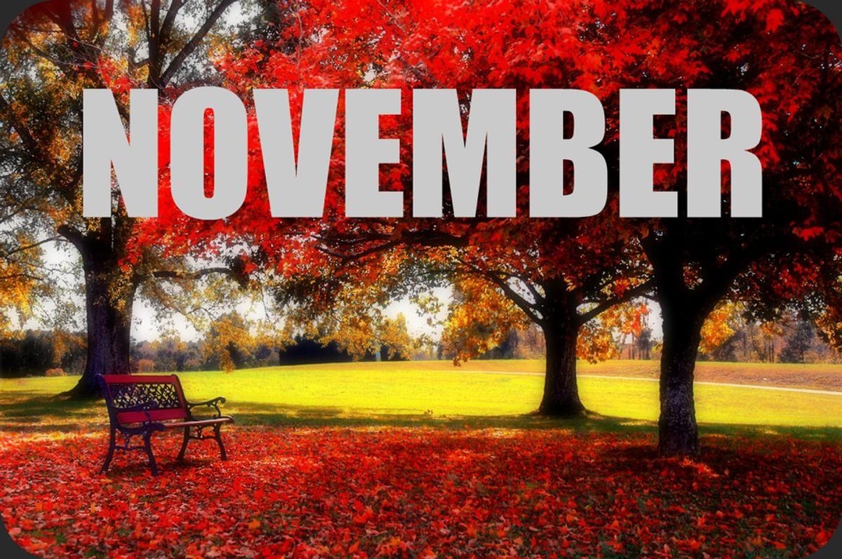 13 Things To Look Forward To In November