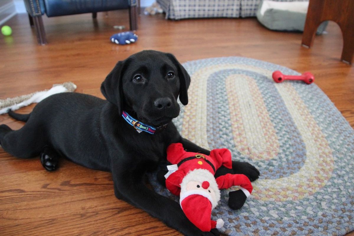 25 Things That Happen When You Are Obsessed With Christmas