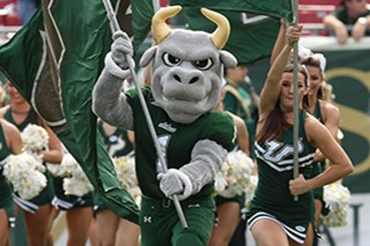 5 More Things to Love About USF