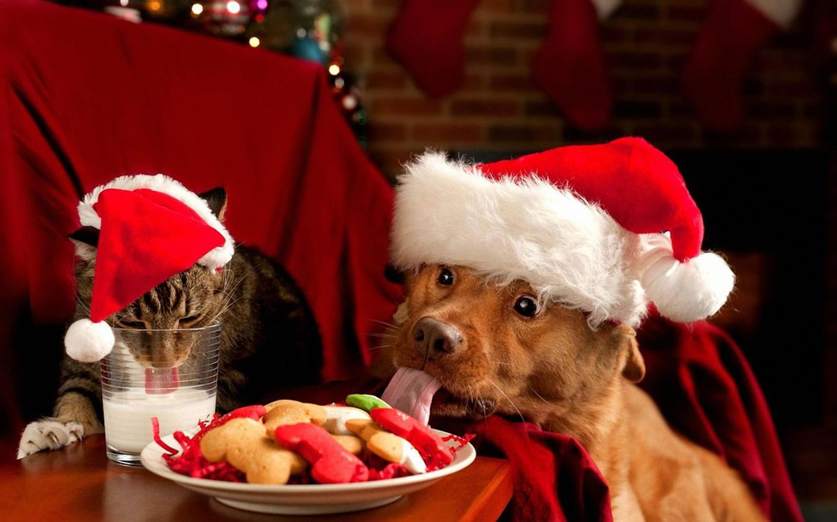 13 Signs You're Already Excited For The Christmas Holiday Season