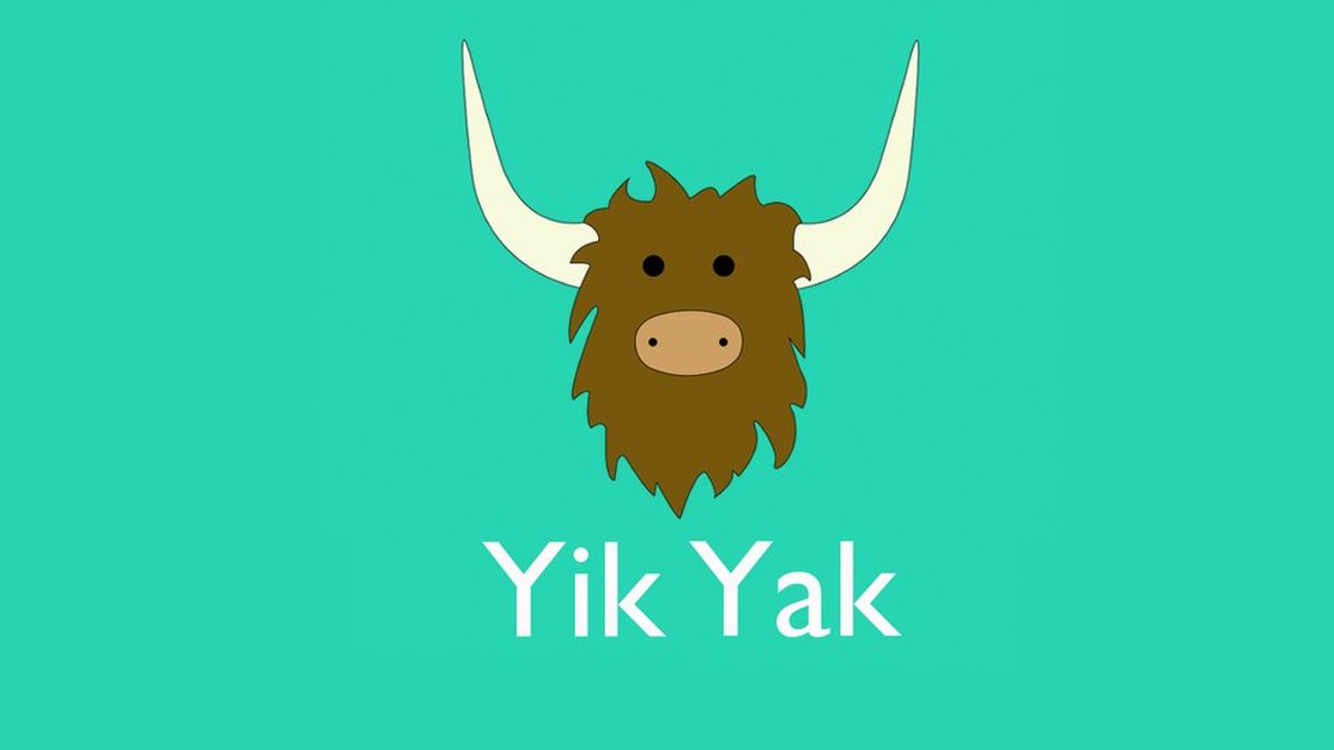 How To Make Sure Your Yaks Aren't Yik