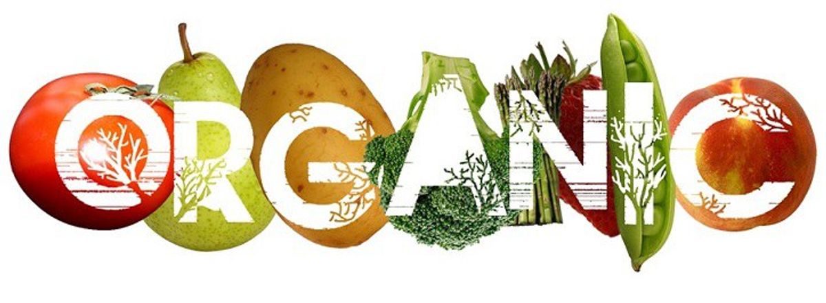 Why You Should Be Eating Organic