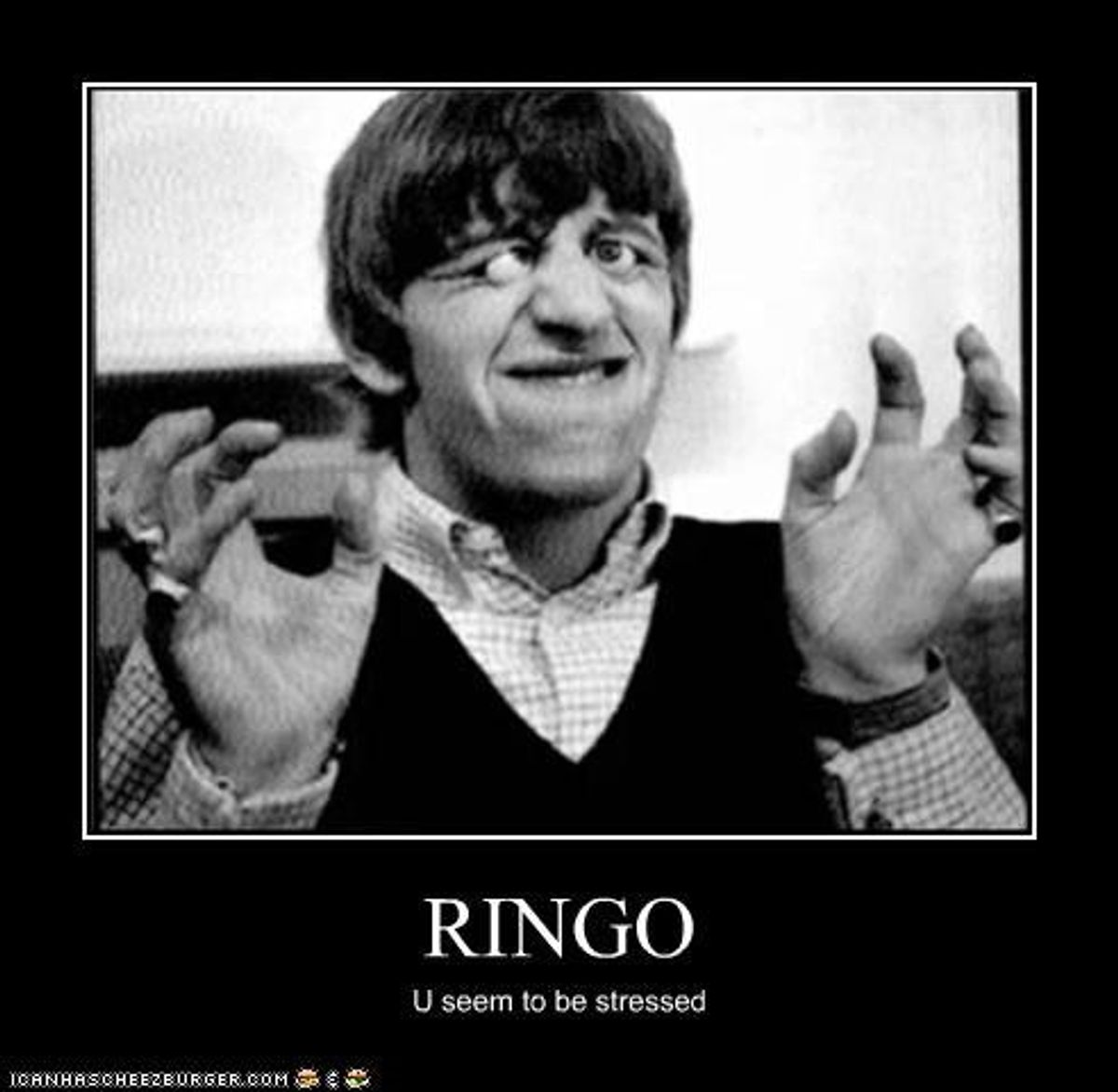 Everybody Has A Ringo