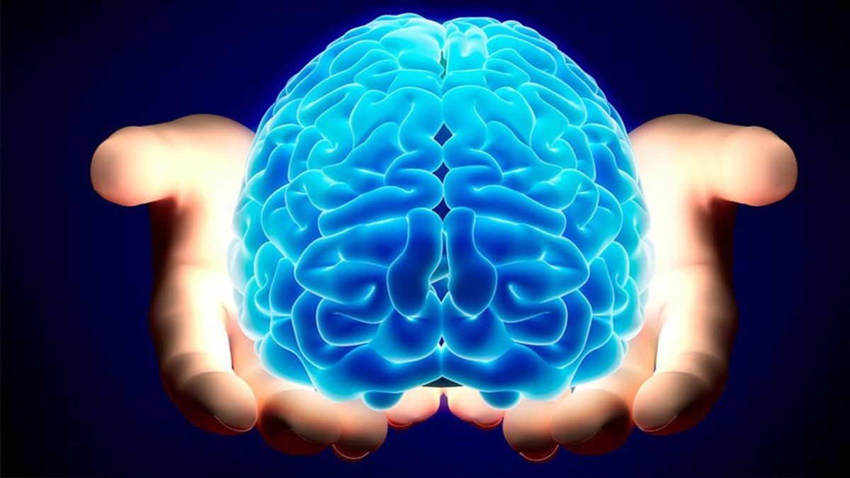 Scientists Make Huge Breakthrough Involving The Brain