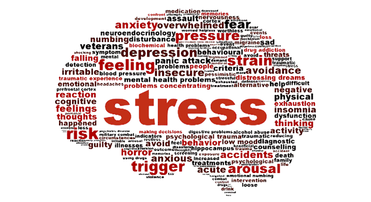 The Truth About Stress