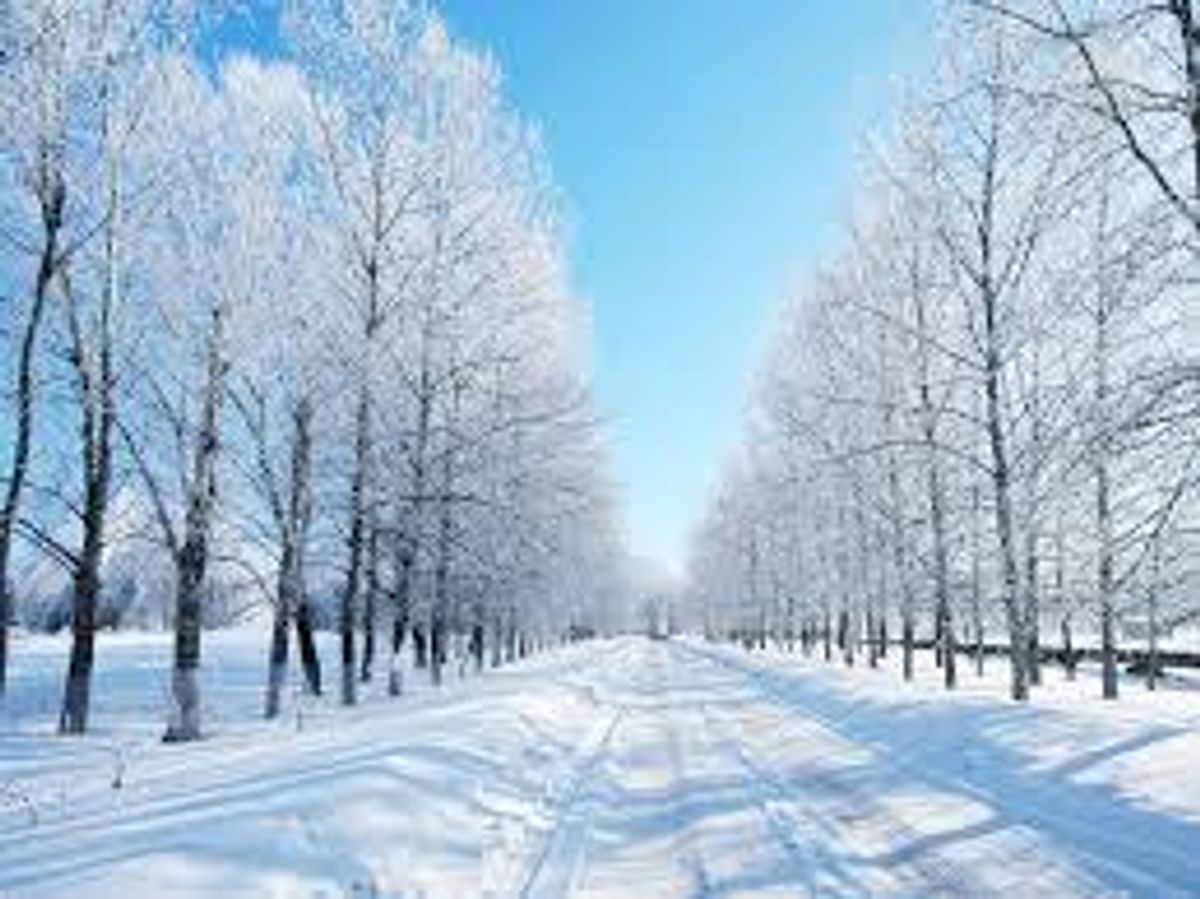5 Reasons Why We Love Winter