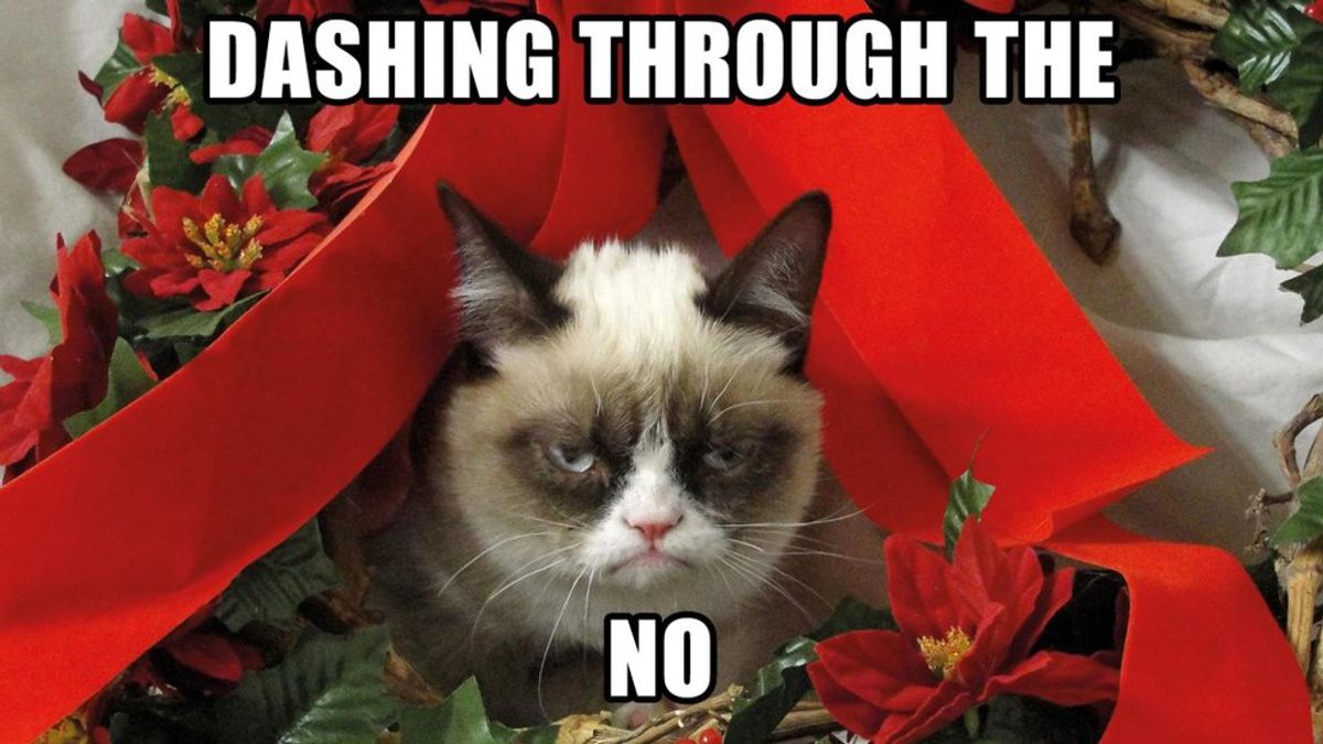 What It's Like Being Home for Winter Break as Told by Cats
