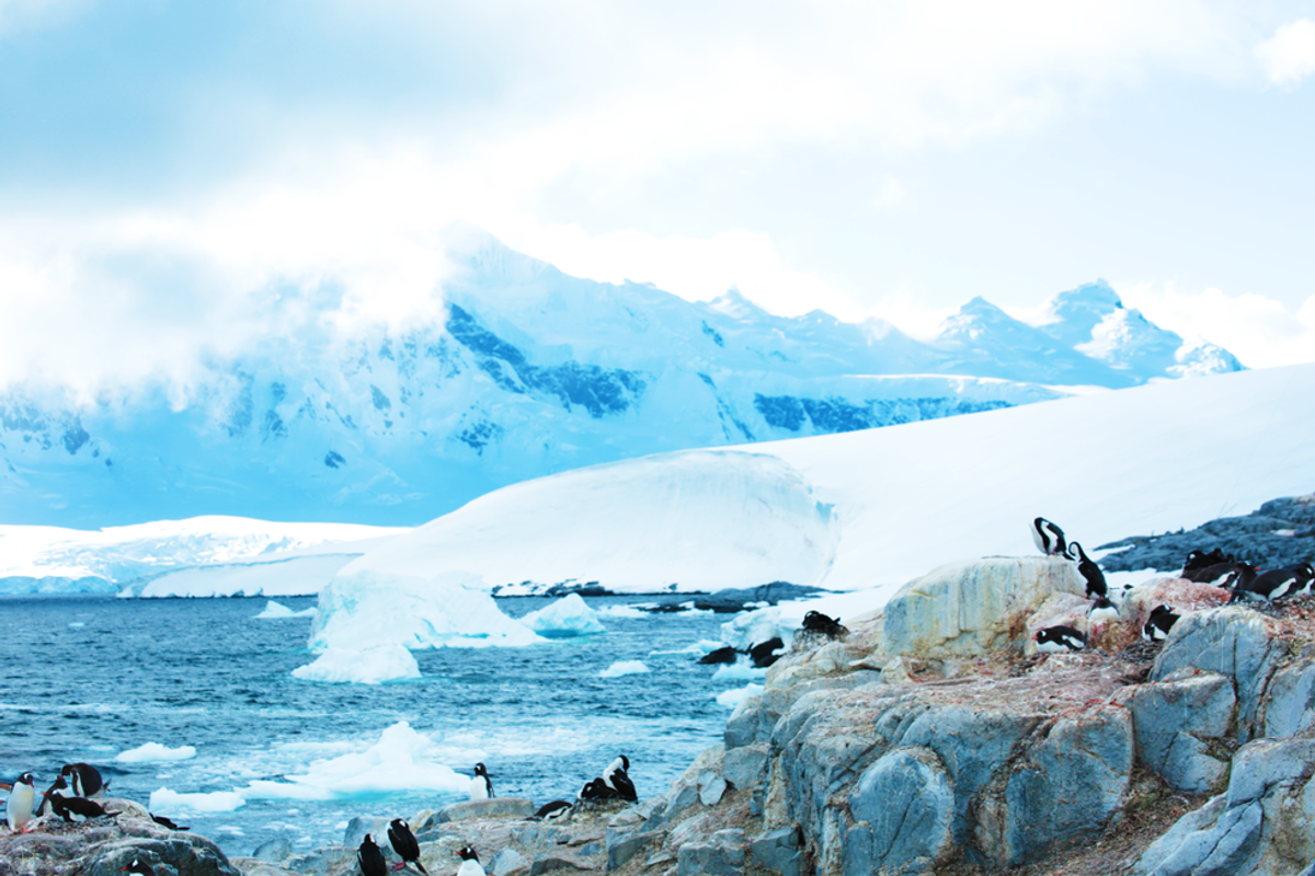 What Visiting The Antarctic Taught Me