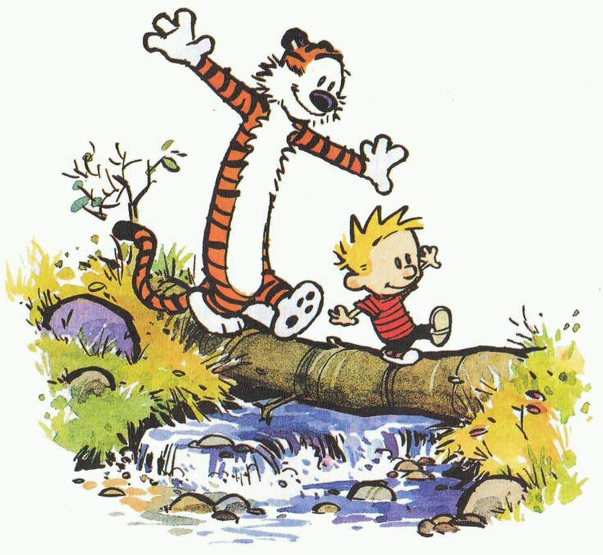 10 Times Calvin And Hobbes Was Actually About College
