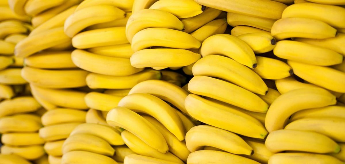 Bananas Are Facing Extinction From Mysterious Panama Disease