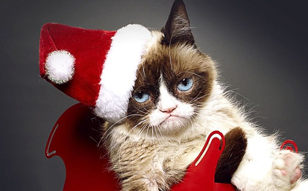 10 Christmas Gifts For Your Cat