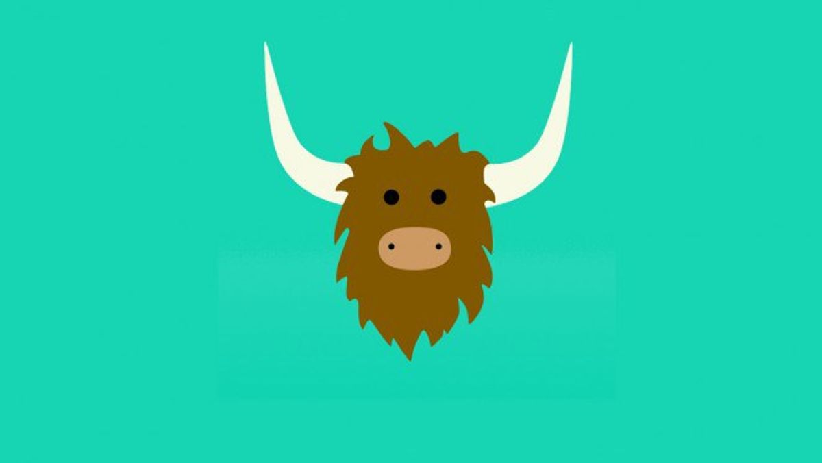 Don't Attack The Yak