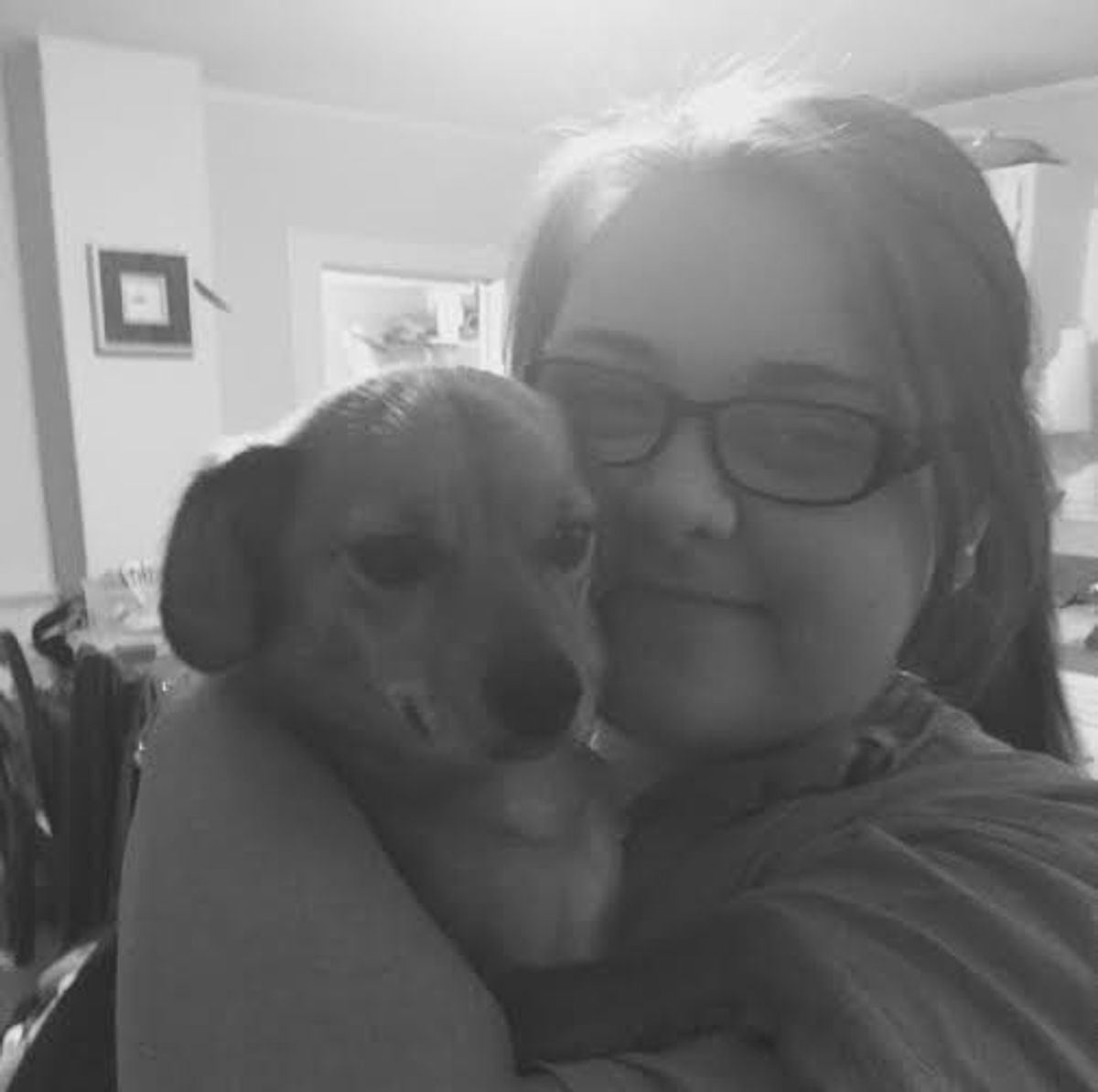 5 Reasons Dogs Should Be Allowed In College Dorms The Odyssey Online