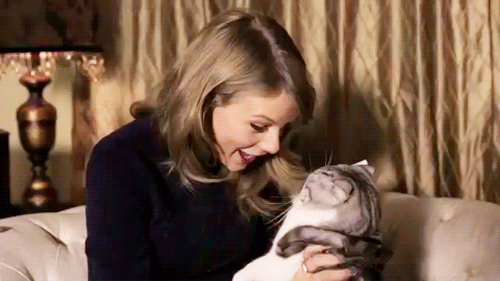 14 Signs You're A Crazy Cat Lady