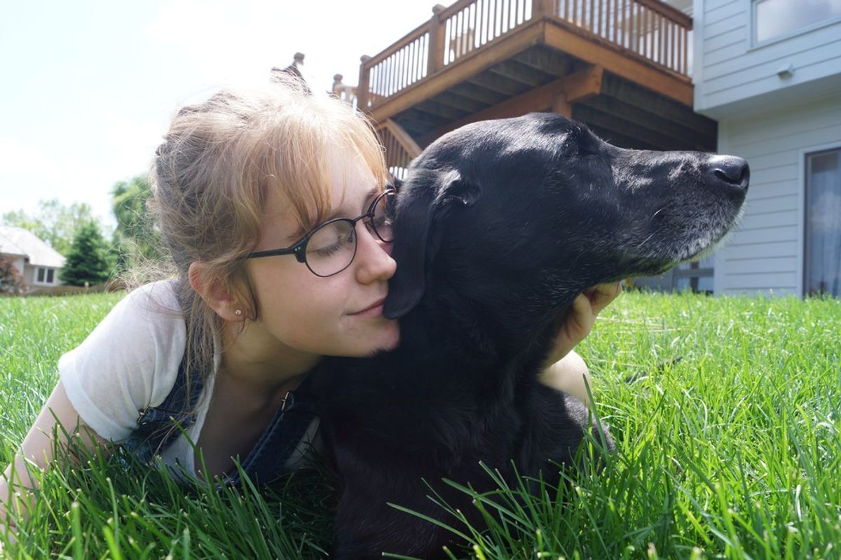 10 Signs You Love Dogs More Than People