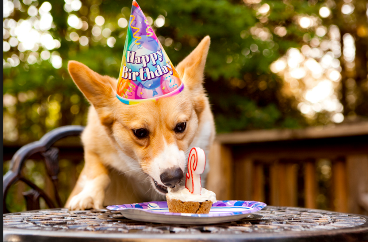 9 Reasons That June Birthdays Are The Best