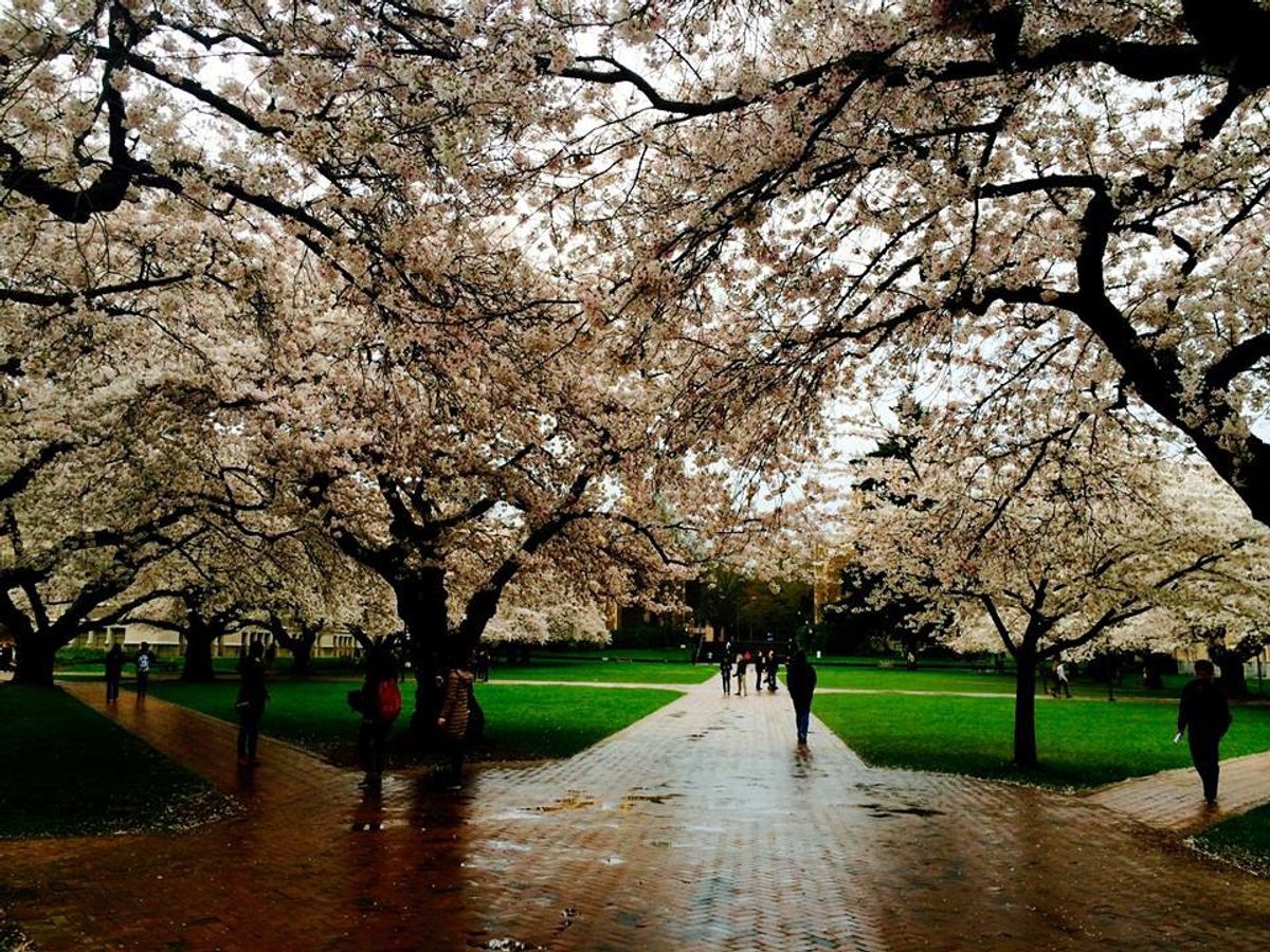 8 Things That Only University Of Washington Students Know