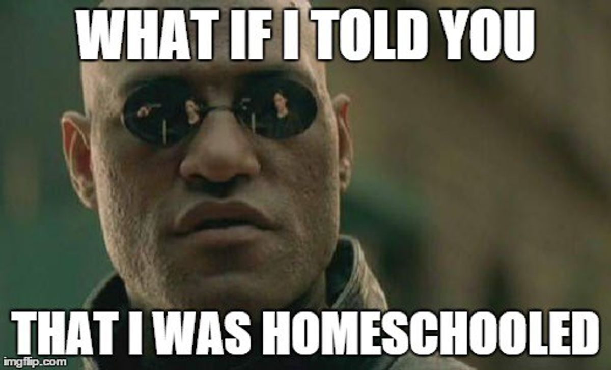 Questions And Misconceptions Homeschoolers Often Hear