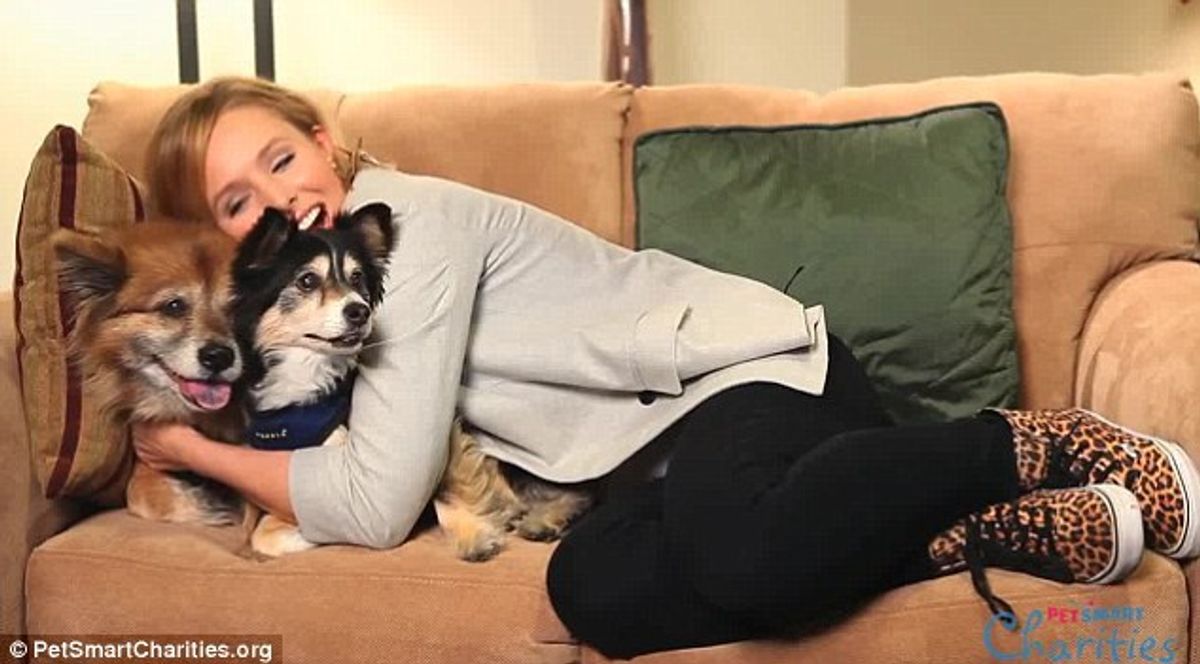 10 Signs You're An Overly Obsessed Dog Lover