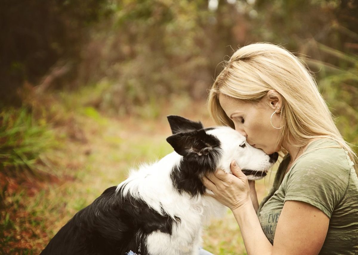 Why A Rescue Dog Is The Best Dog