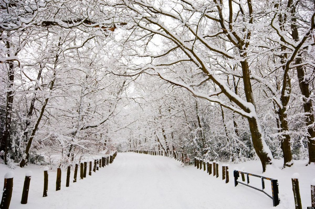 10 Reasons We Can't Stand Winter