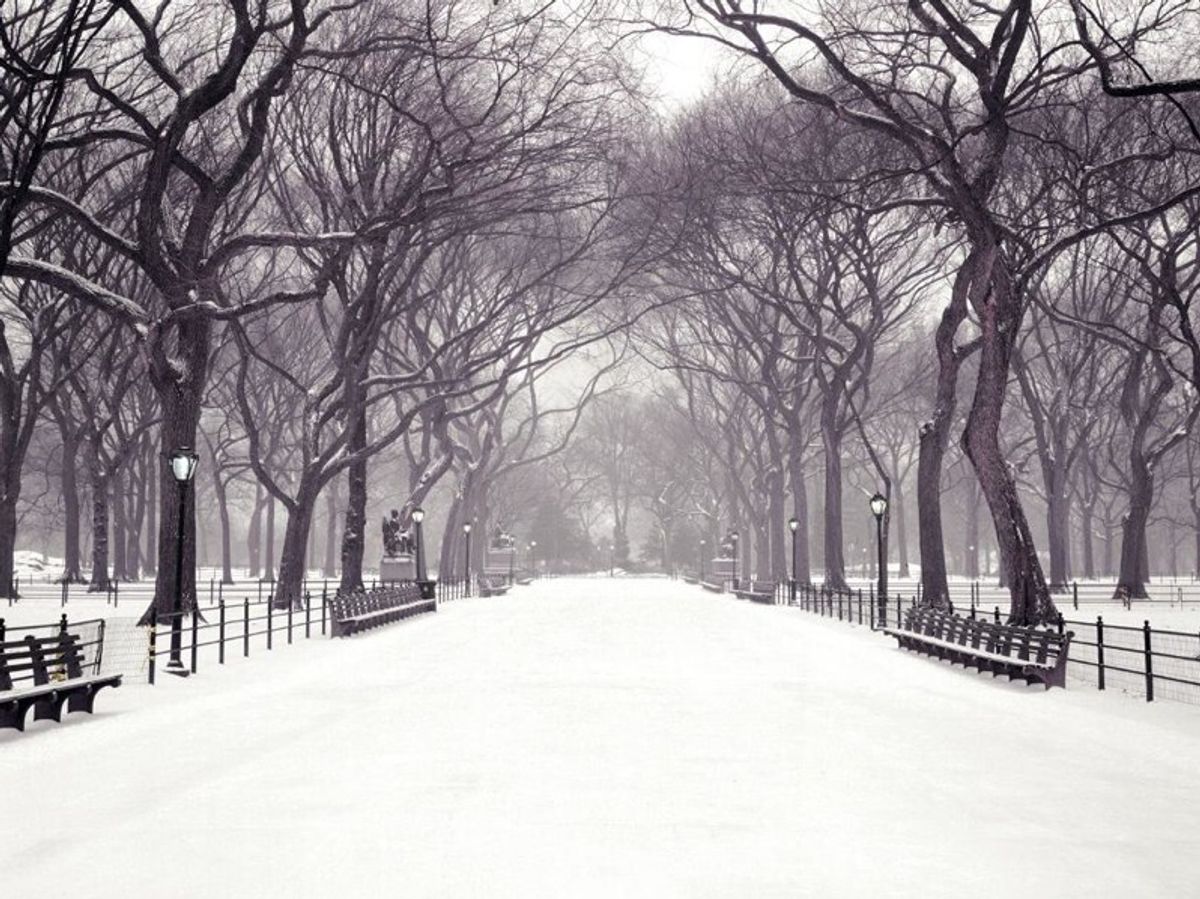 7 Things We All Love About Winter