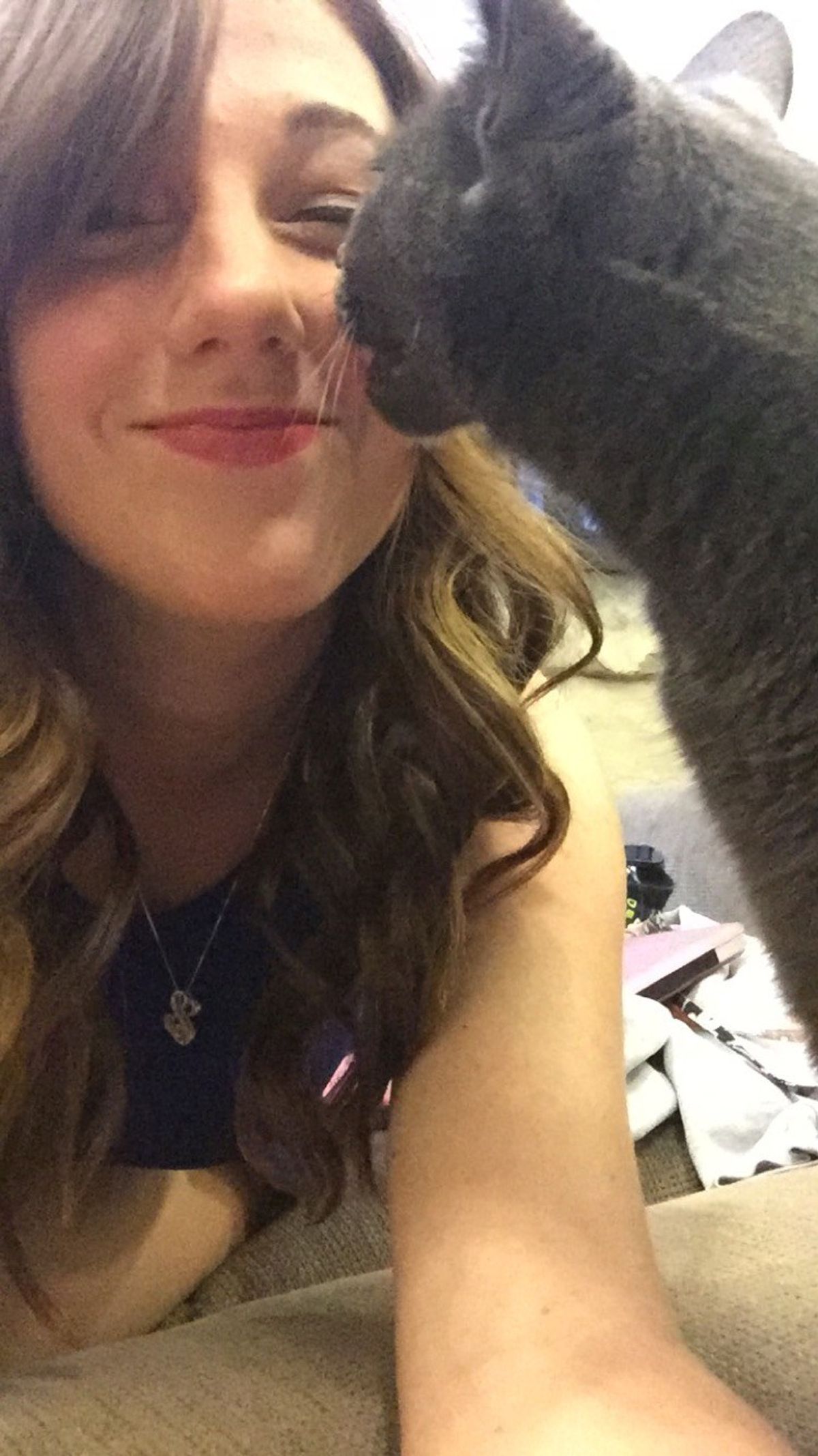 11 Signs That You May Be A Crazy Cat Lady