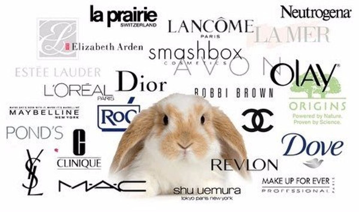 Which Makeup Companies Do Or Don't Test On Animals?