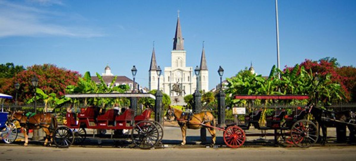 7 Things That Make New Orleans Unique