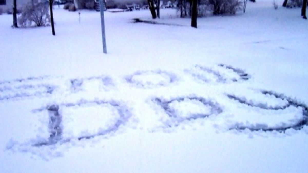 11 Fun Things To Do On A Snow Day
