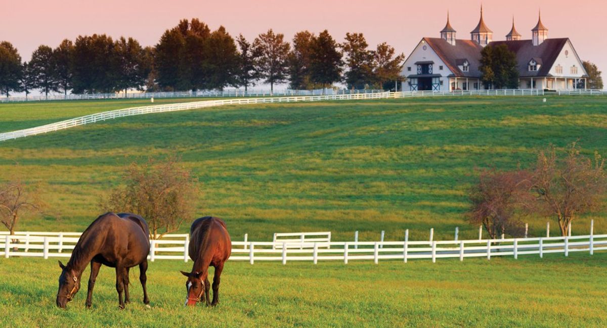 12 Signs You Grew Up In Kentucky