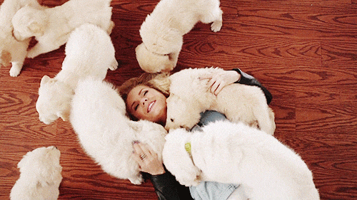 21 Puppy GIFS to Get You Through the Week