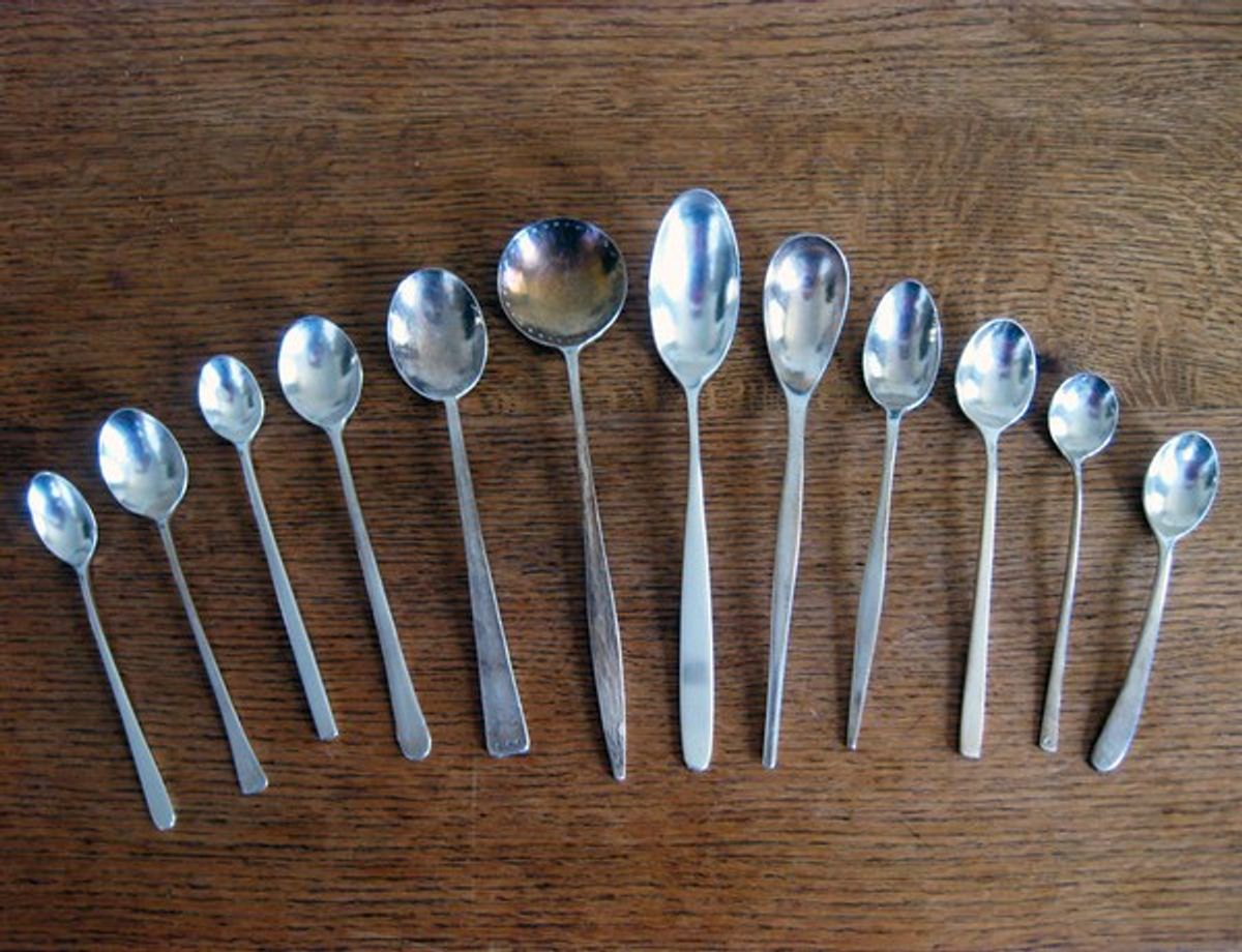 The Spoon Theory