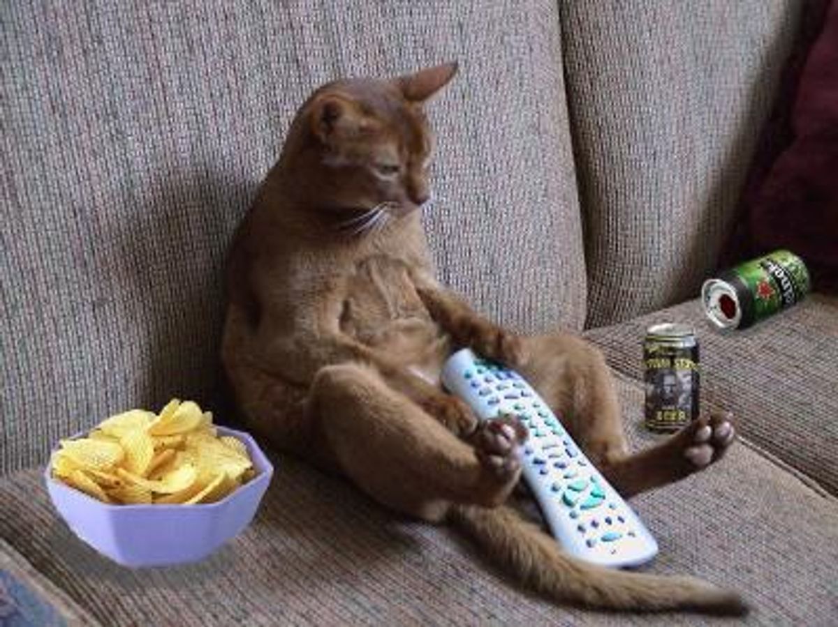 5 Confessions Of A Couch Potato