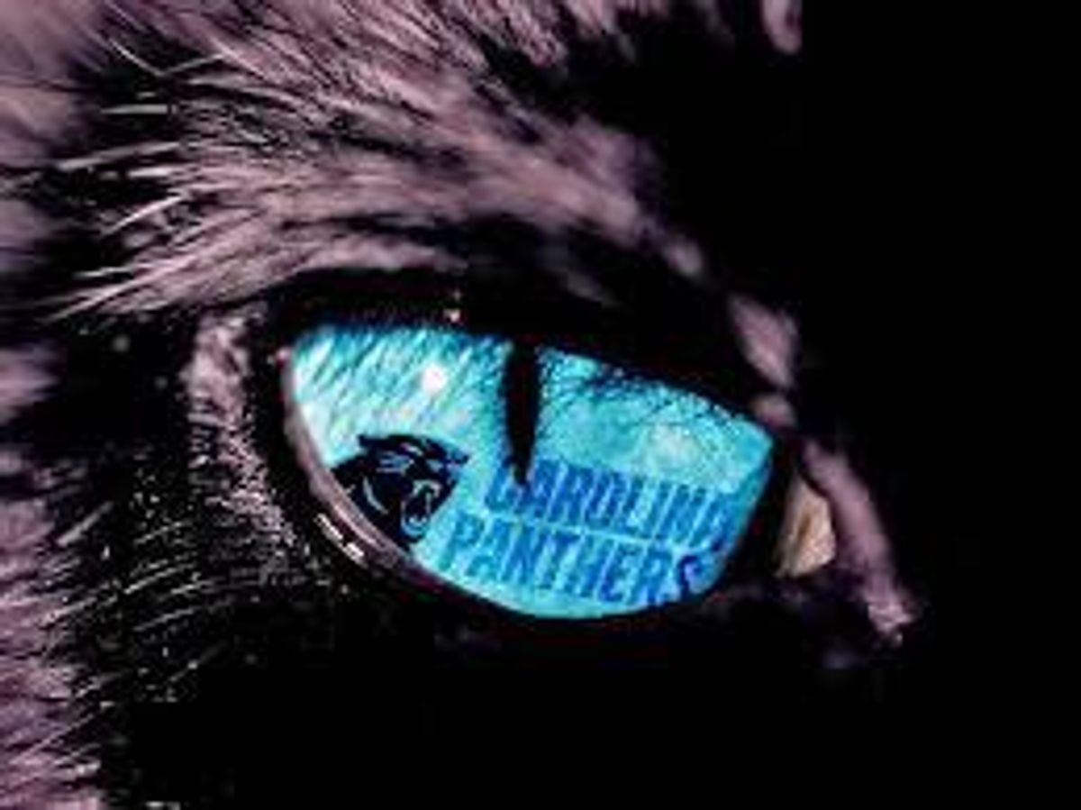 10 Reasons Why Being A Carolina Panthers Fan Rocks