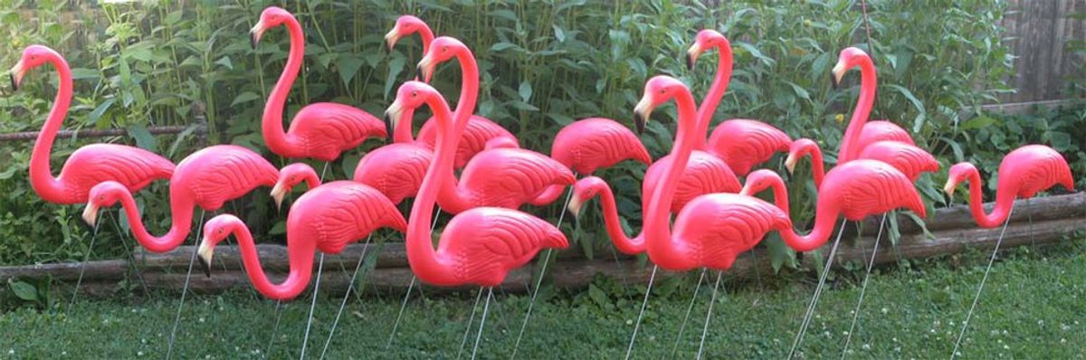 Origins Of The Plastic Flamingo