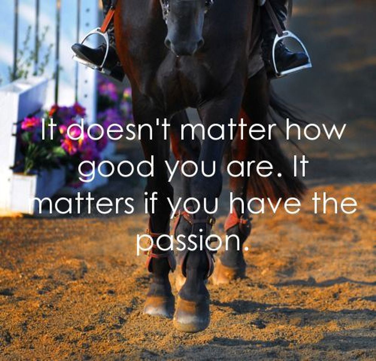 The Reality Of Being A Female Equestrian