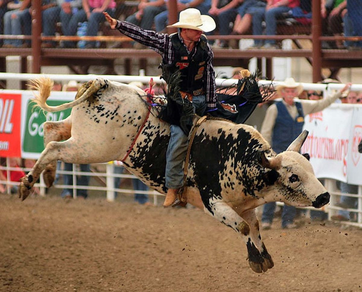 Why Going To A Rodeo On Your Anniversary Is More Than Awesome