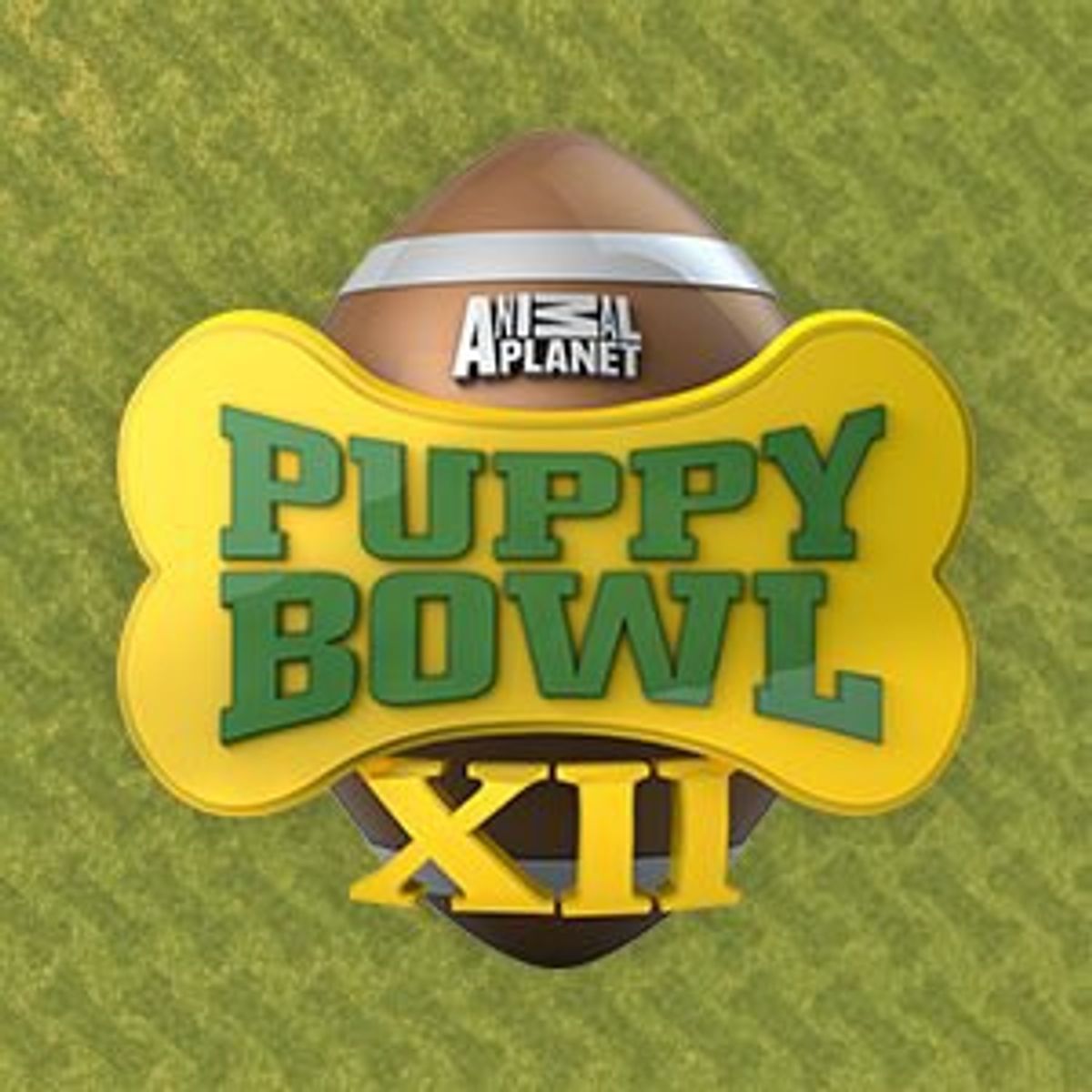 A Recap Of Puppy Bowl XII