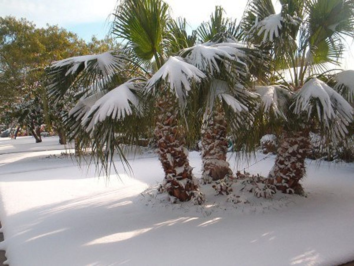 14 Amateur Winter Survival Tips From A Floridian Trying To Figure It Out