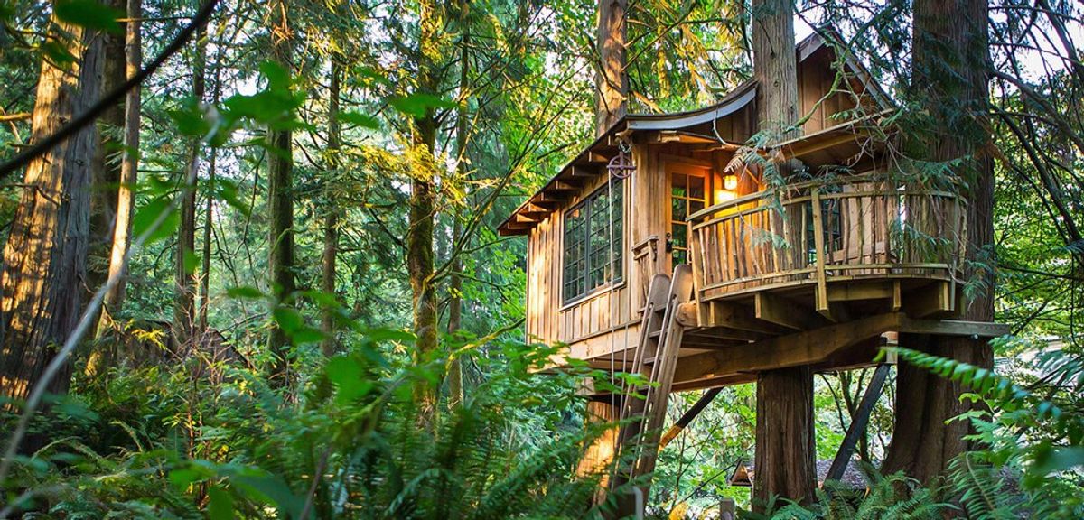 13 Treehouses All Introverts Dream Of Living In