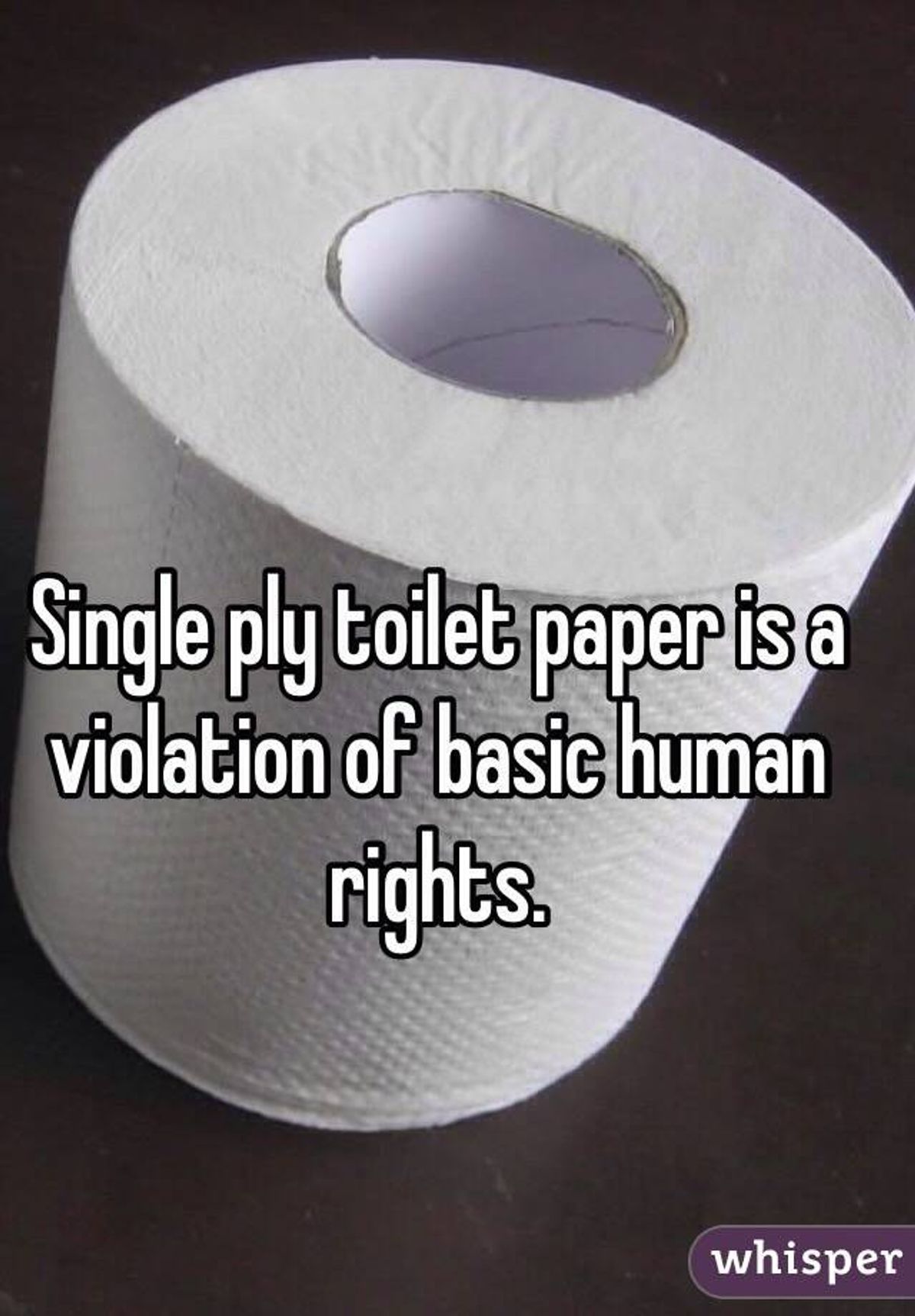 Why Single-Ply Toilet Paper Is The Worst Invention Ever