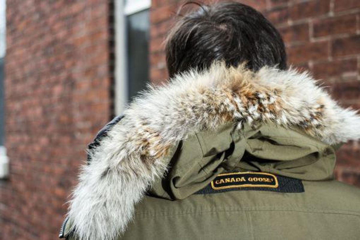 The Coyote Ugly Truth About Canada Goose
